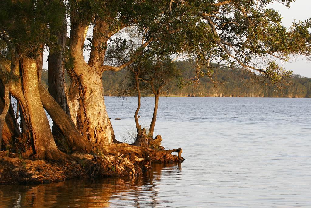 Nrma Myall Shores Holiday Park Буладела Екстериор снимка